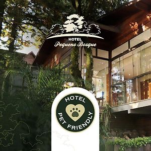 Hotel Pequeno Bosque